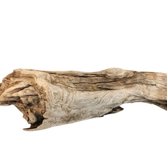 Natural Driftwood Decor Piece For Crafting Aquariums Reptile Tanks Or Rustic Dis - Picture 6 of 14